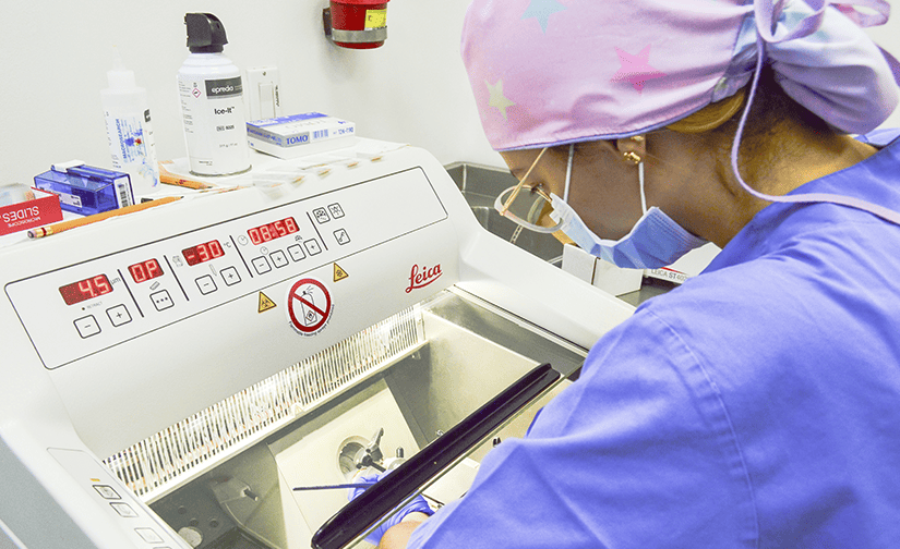 Servicios - Laboratorio patología - Imagen servicio